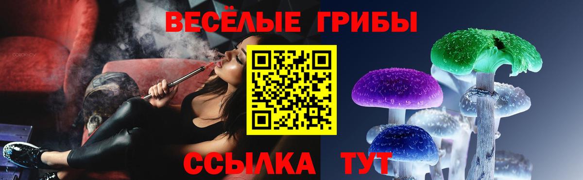 Псилоцибиновые грибы прущие грибы Белая Калитва