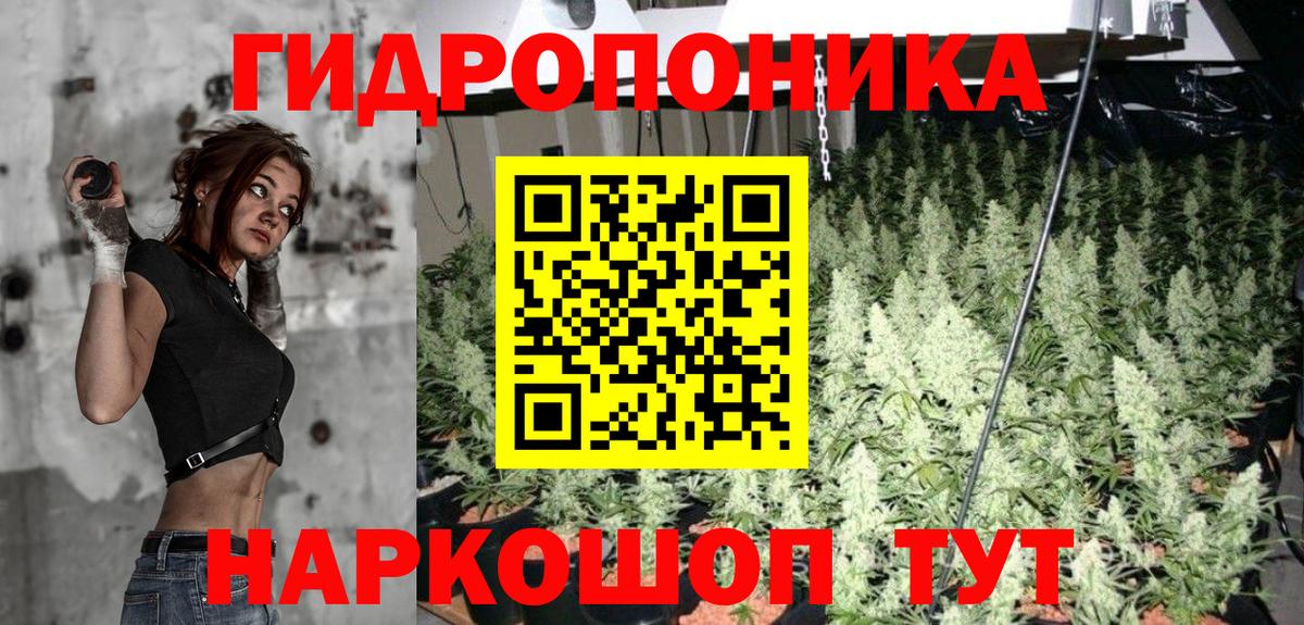Конопля White Widow  Вход с VPN  Бошки марихуана ГИДРОПОН  Конопля LSD WEED  Белая Калитва  Марихуана сатива 